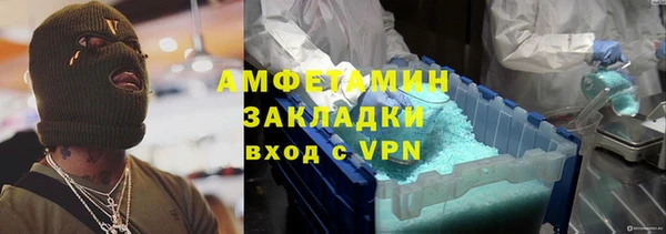 индика Алзамай