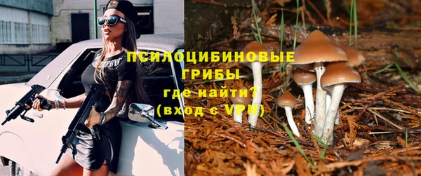 хмурый Абдулино