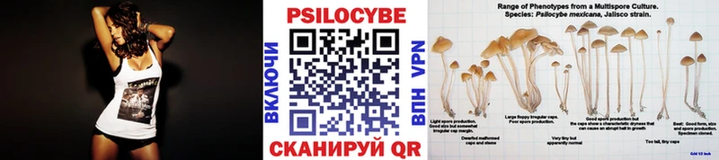 Псилоцибиновые грибы ЛСД Калач